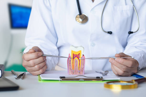 Best Emergency Tooth Extraction in Lacon, IL
